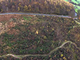 Stainburn Forest - Aerial View