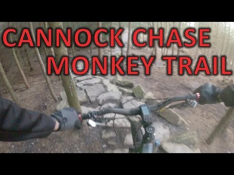 Cannock Chase Monkey Trail