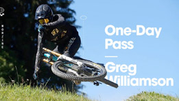 One Day Pass - Greg Williamson