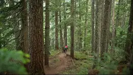 Whistler's Dark Crystal Mountain Bike Trail | Bosch eBike Systems