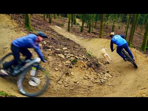Freeminers Red Mountain Bike Trail in the Forest of Dean