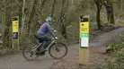 The Colliers Cycle Trail in the Forest of Dean