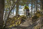 Marin Trail in Wales opens new red-grade singletrack