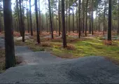 Thetford Forest Pumptrack Reopened