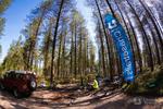 Brand new trail section at Cannock Chase!