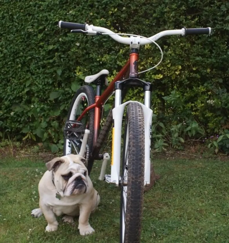 front of bike with my bulldog puppy oscar