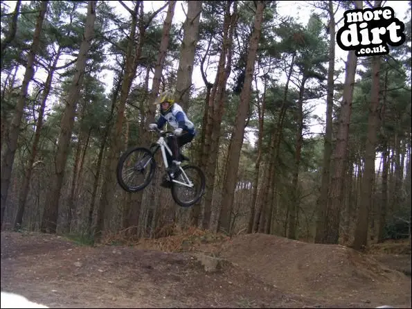 on the dual track at Delamere