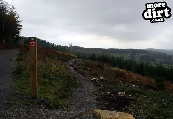 The new Ridge Ride Trail at Haldon Forest.