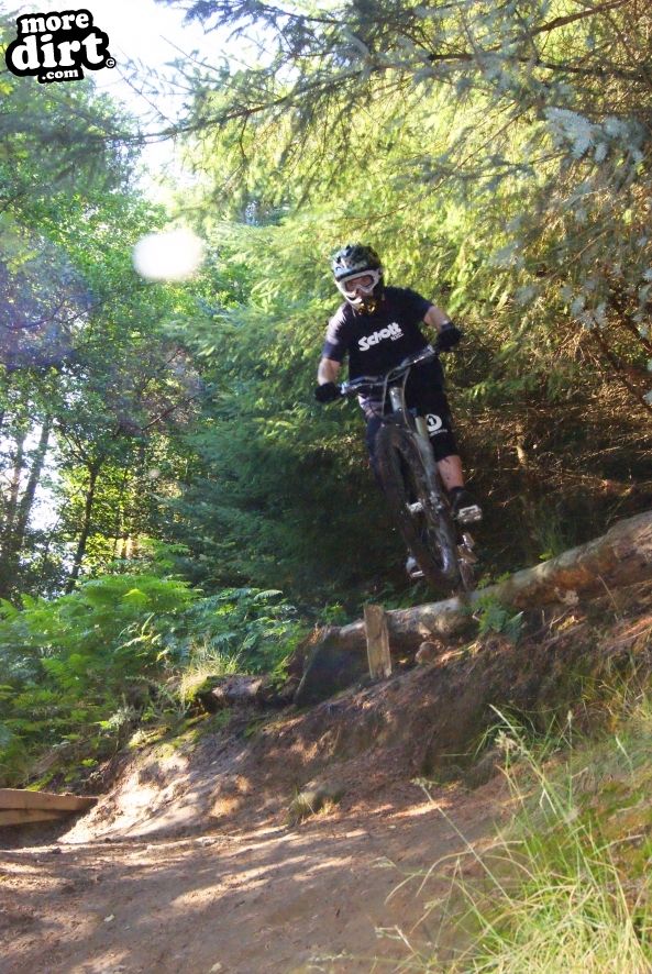 Silton Forest Downhill Track