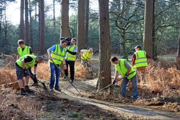 New section on the Red Trail at Swinley Forest Mou