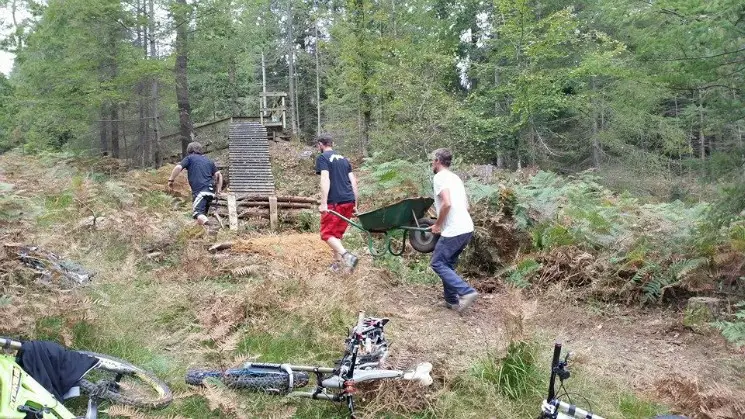 Dig Day at Tavistock Woods for the first round of 