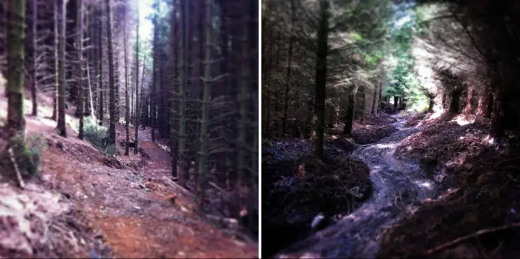 New sections of singletrack at Penmachno Mountain 