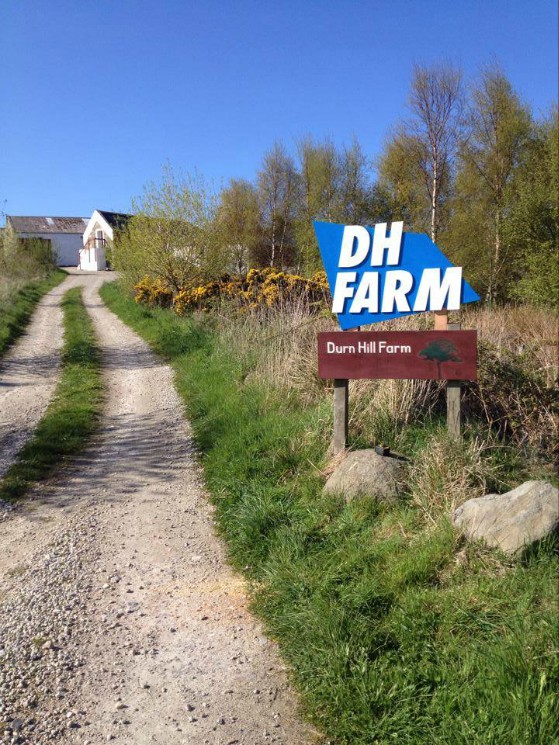 DH Farm Bike Park