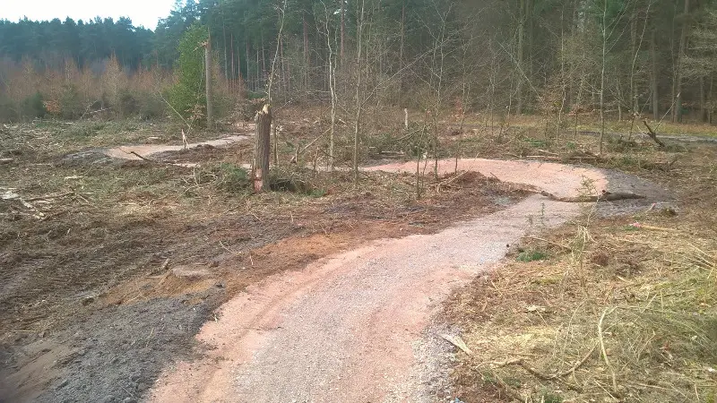 New Trail Sections at Thetford Forest