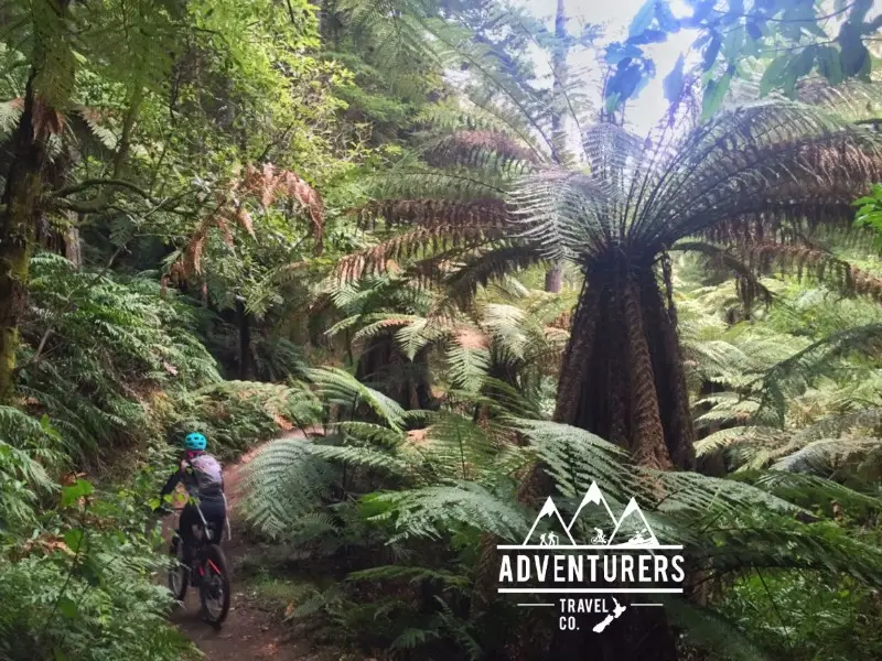 Adventurers Travel Company on the Trails in the Re