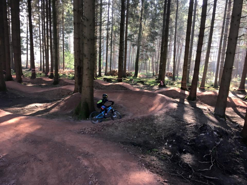 Forest of Dean Skills Area