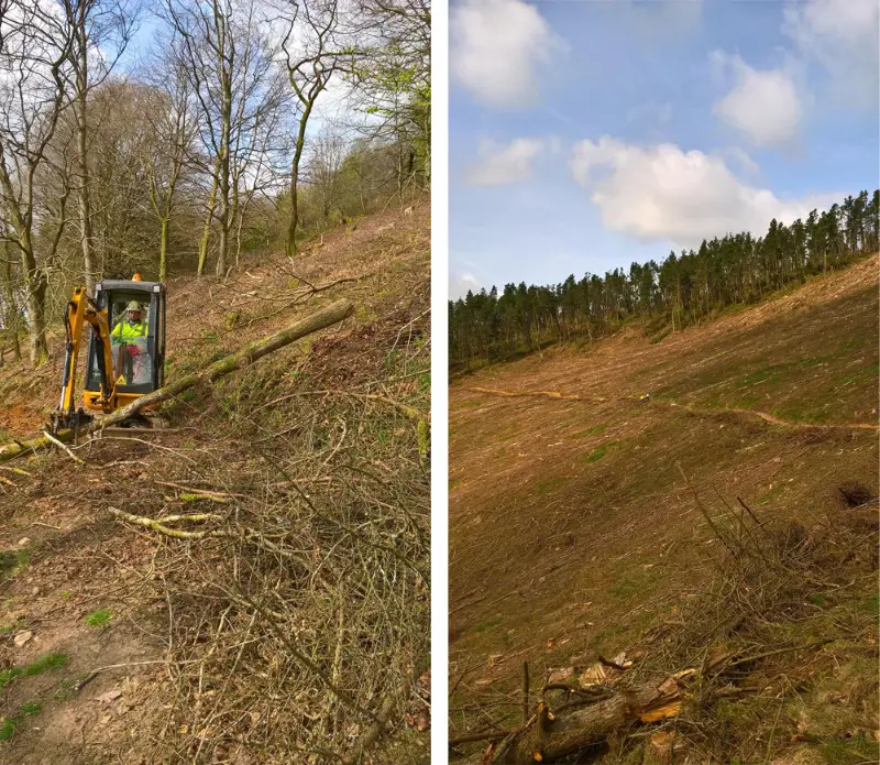 Twrch Trail at Cwmcarn to reopen fully soon!
