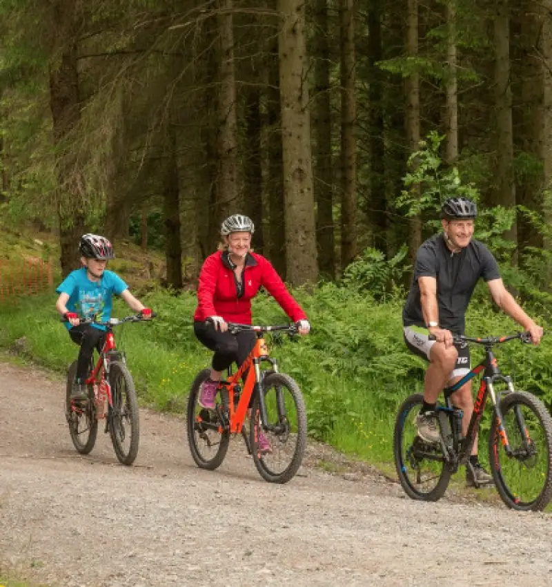 New cycle route now open in Whinlatter Forest