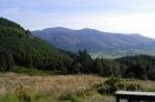 Quercus Trail - Whinlatter Forest