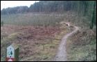 Dalby Forest Red Trail