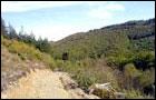 Derwen Trail - Brechfa