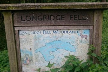 Longridge Fell Mountain Bike Trails - 