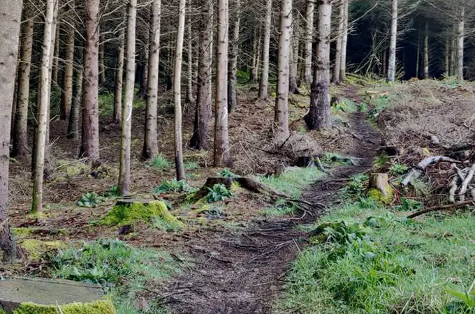 Ballymoyle Hill Mountain Biking Trails - Ireland