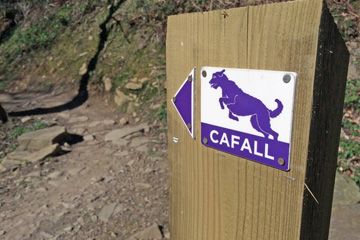 Cafall Mountain Bike Trail - Cwmcarn - 