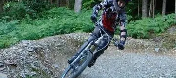 Dyfi Forest Mountain Bike Trails