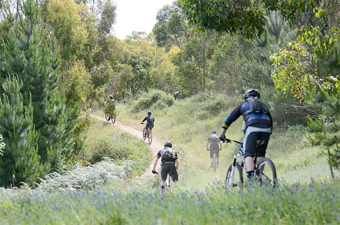 Fox Creek Bike Park - South Australia