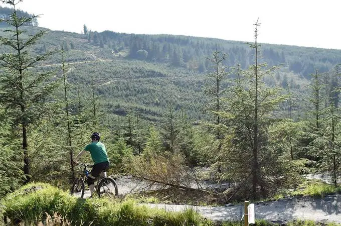 Gortin Glen Forest Mountain Bike Trails - Northern Ireland