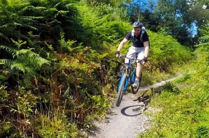 Haldon Forest Mountain Bike Trail Centre - 