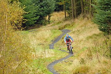Mabie Forest Mountain Bike Centre - 