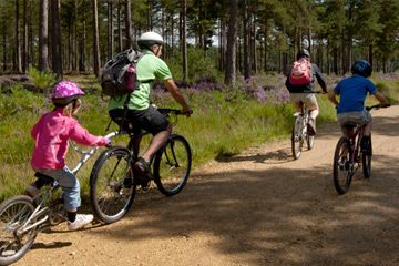 Salcey Forest Cycle Trail - 