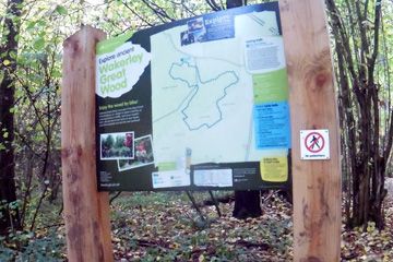 Scar Tree Mountain Bike Trail - Wakerley Great Wood - 