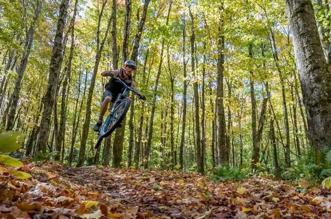 Sterling Forest Mountain Biking Trails - Vermont