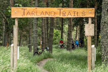 Tarland Mountain Bike Trails - 