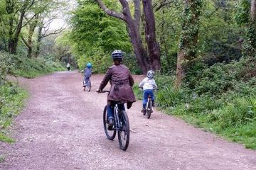 The Tehidy Cycle Trail - 
