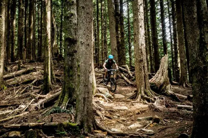 Tiger Mountain Bike Trails - 