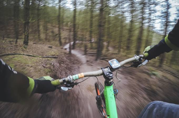 Yair Forest Mountain Bike Trails - 