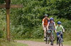 Family Trail - Forest of Dean