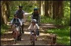 Hamsterley Forest - Blue Trail