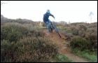Loxley Common Trails