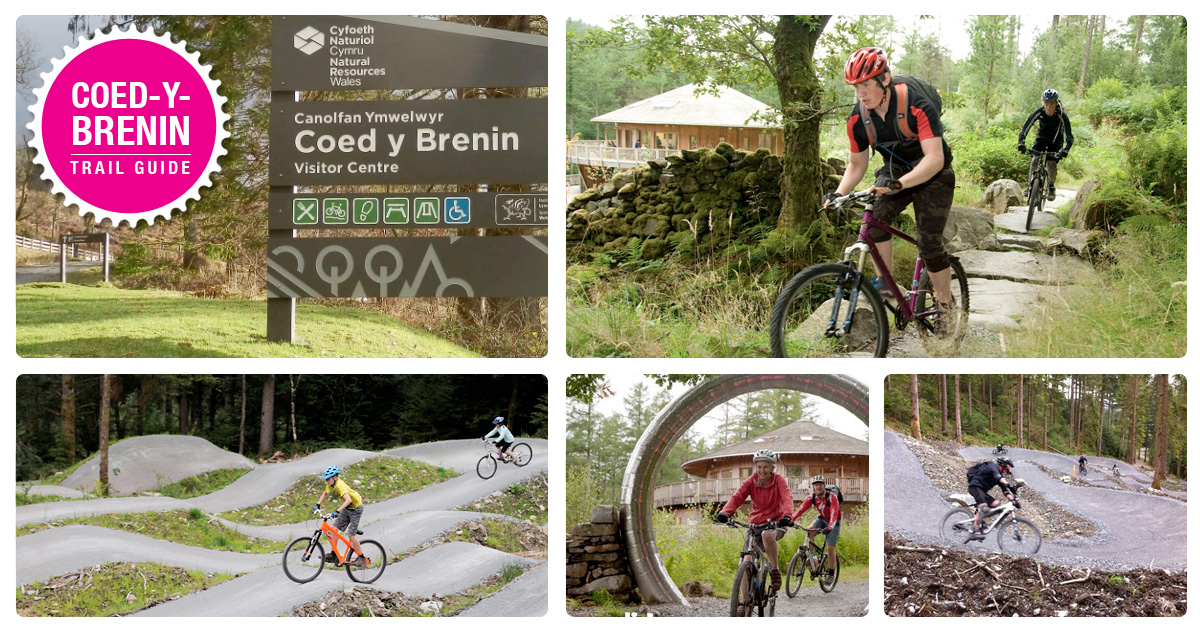 coed y brenin mtb