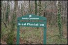 Great Plantation