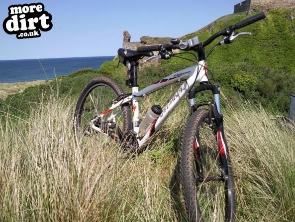 Specialized - Hardrock