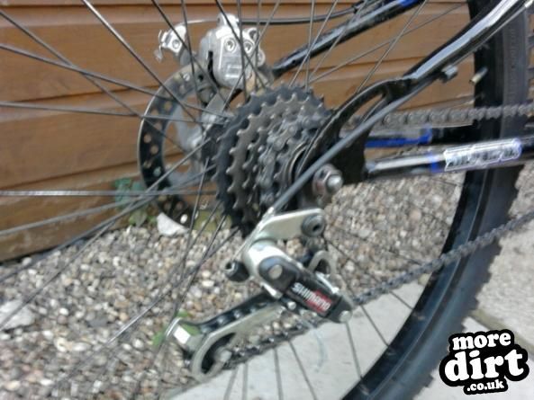 silverfox - silverfox