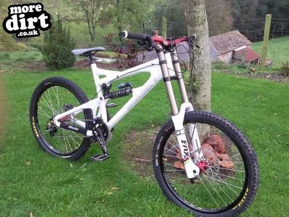 Santa Cruz - VP Free