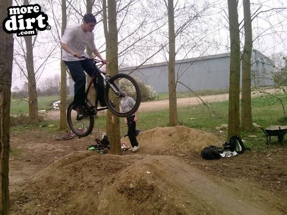 sarerscane amplitude -  08