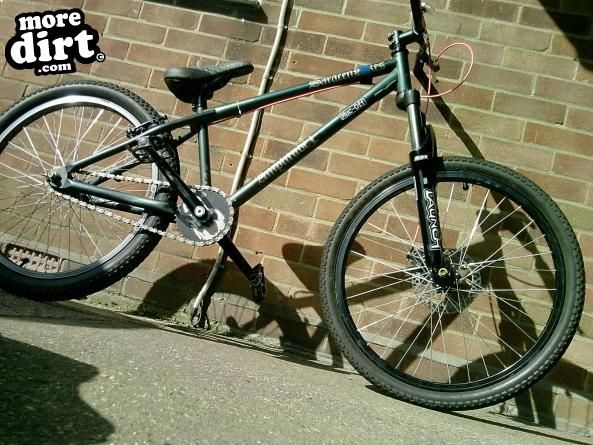 sarerscane amplitude - 08